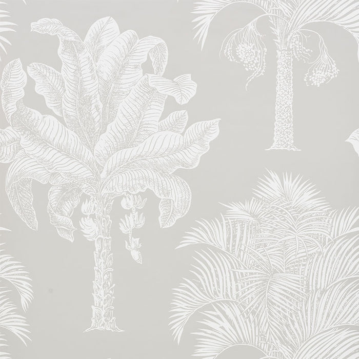 Schumacher Grand Palms Dove Wallpaper 5009622