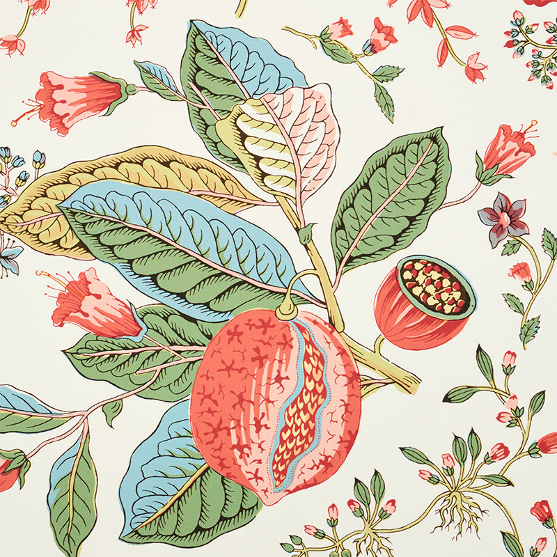 Schumacher Pomegranate Botanical Document Wallpaper 5010441