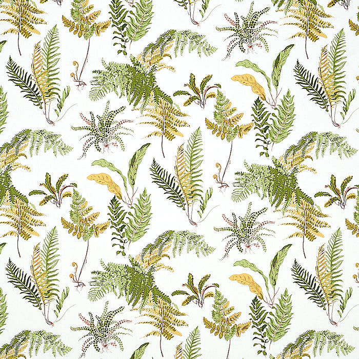 Schumacher Les Fougeres Spring Wallpaper 5010661