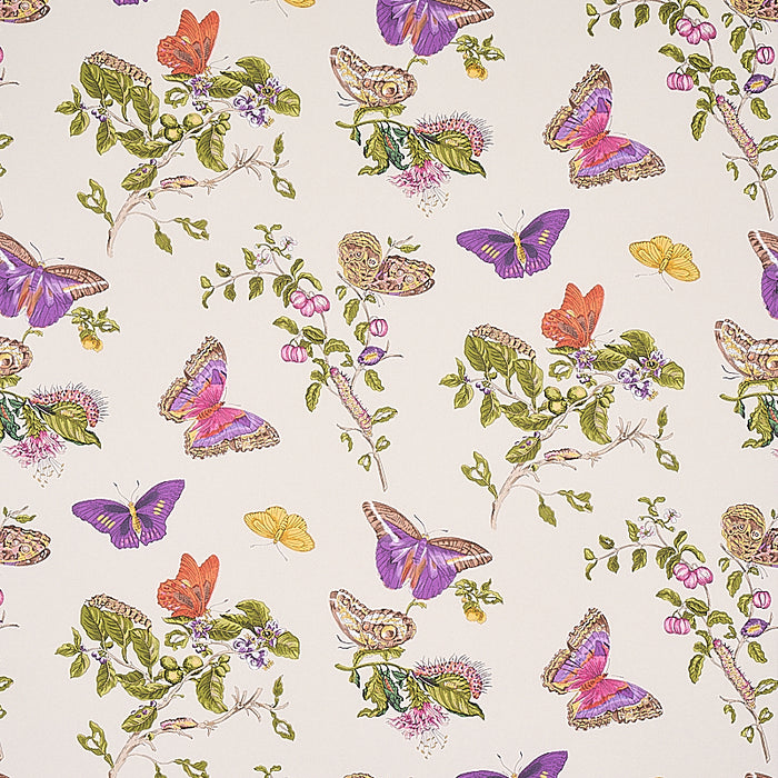 Schumacher Baudin Butterfly Purple Wallpaper 5010692