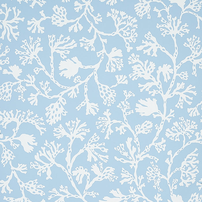 Schumacher Anthoza Sky Wallpaper 5012130