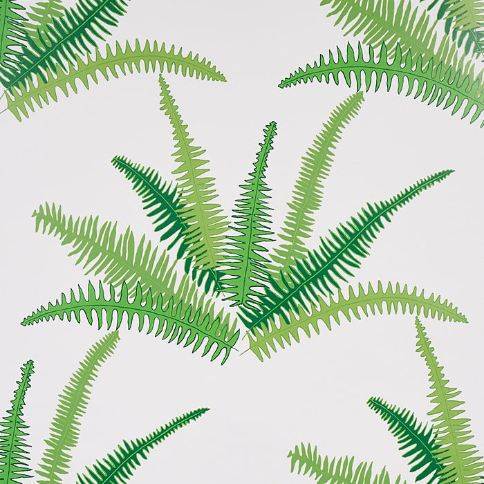 Schumacher Canyon Ferns Jungle Wallpaper 5012621