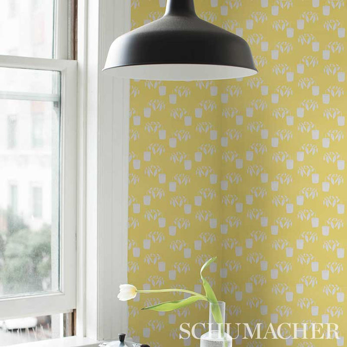 Schumacher Reaching Out Lemonade Wallpaper 5012711