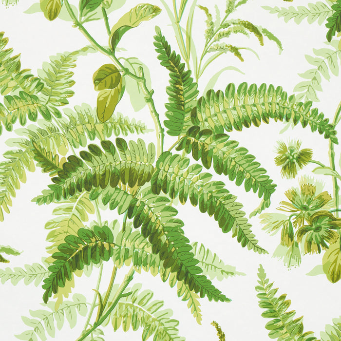 Schumacher Myers Fern Tropical Wallpaper 5013231