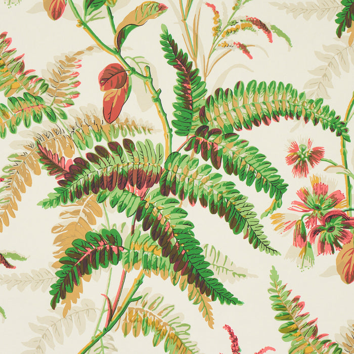 Schumacher Myers Fern Document Wallpaper 5013232