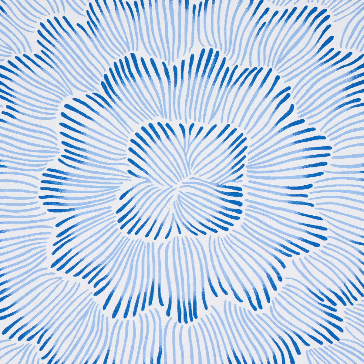 Schumacher Feather Bloom Blue Wallpaper 5013820