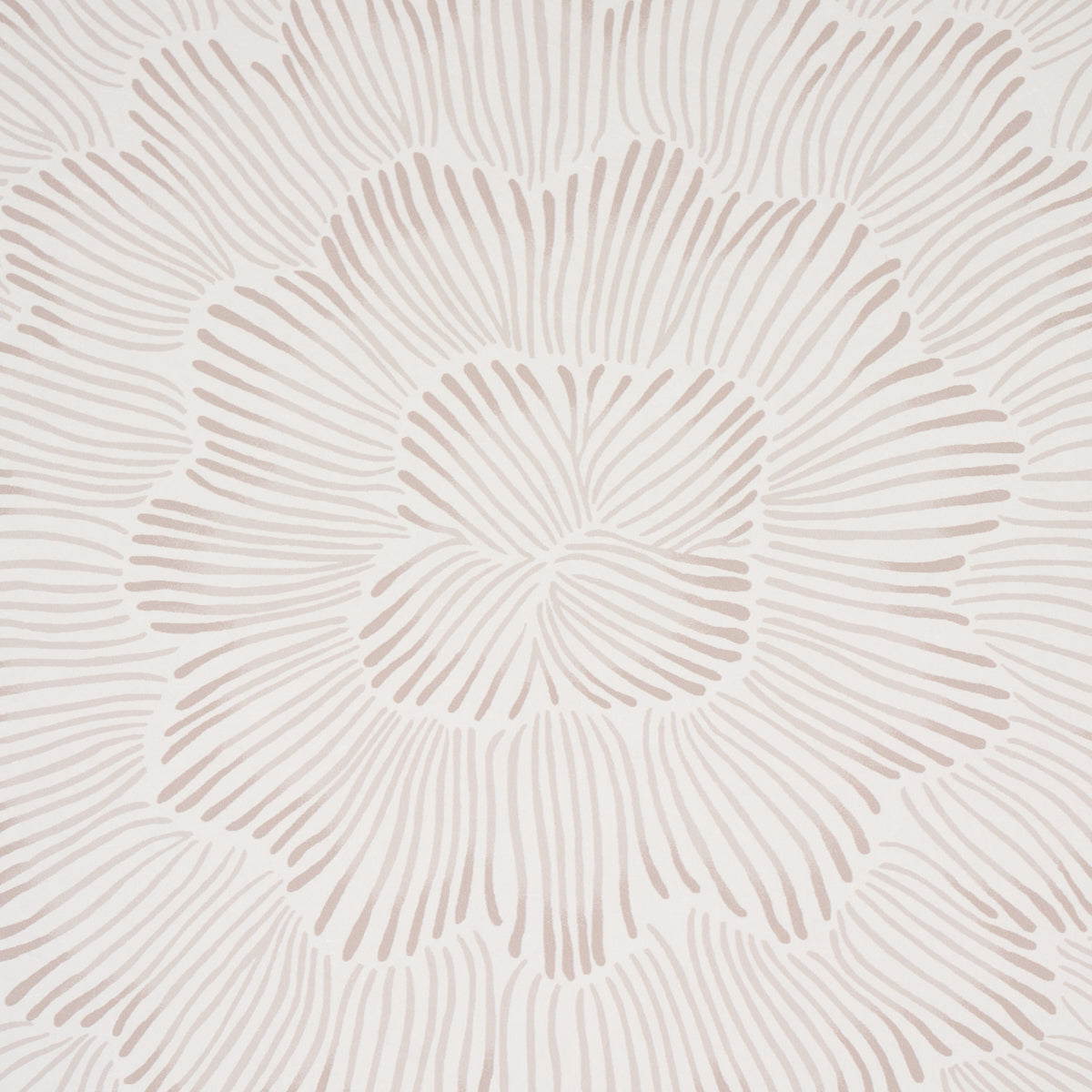 Schumacher Feather Bloom Soft Neutral Wallpaper 5013821