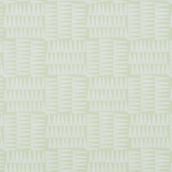 Schumacher Charlie Green Wallpaper 5013932