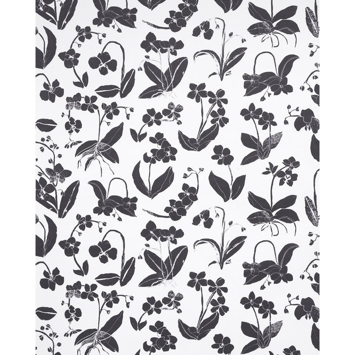 Schumacher Orchids Have Dreams Soft Black Wallpaper Sample 5014100