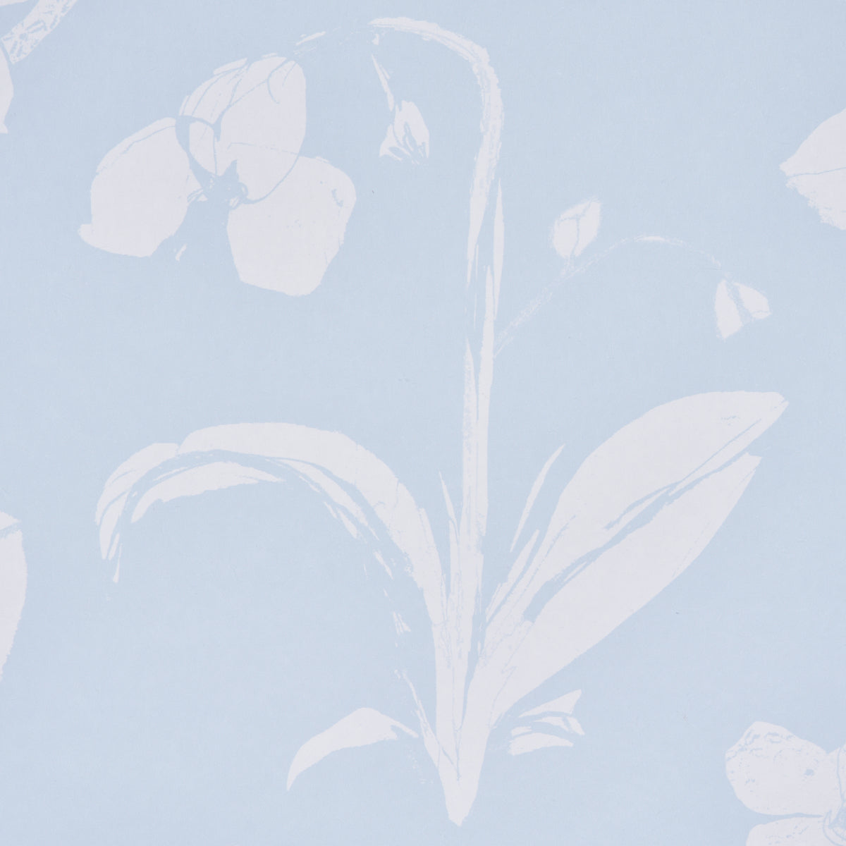 Schumacher Orchids Have Dreams Sky Wallpaper 5014101