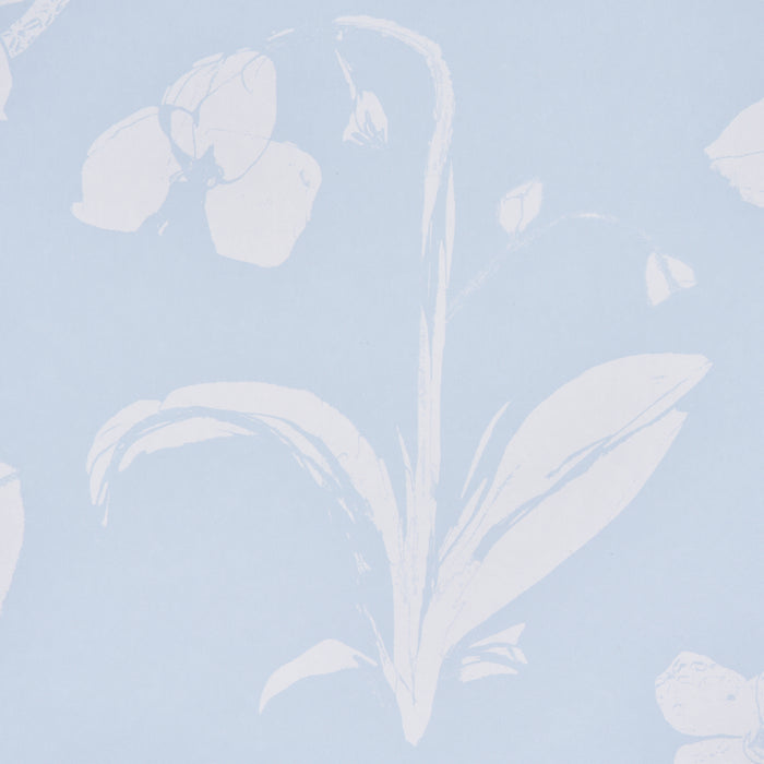 Schumacher Orchids Have Dreams Sky Wallpaper 5014101