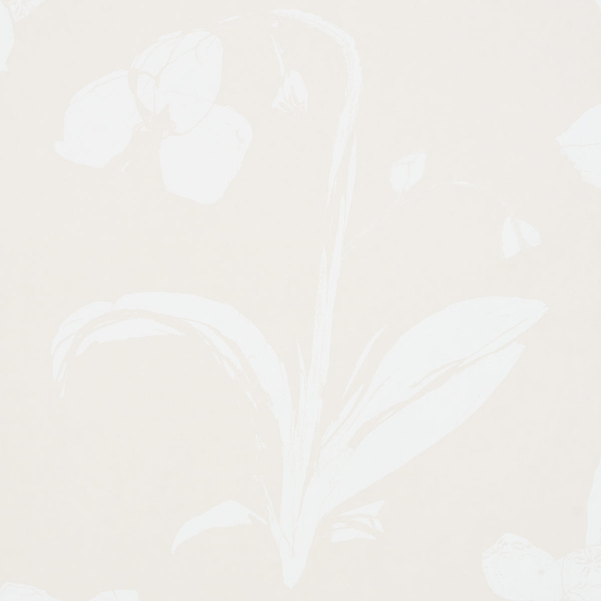 Schumacher Orchids Have Dreams Light Neutral Wallpaper 5014102