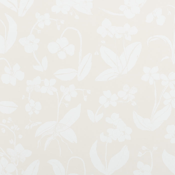 Schumacher Orchids Have Dreams Light Neutral Wallpaper Sample 5014102