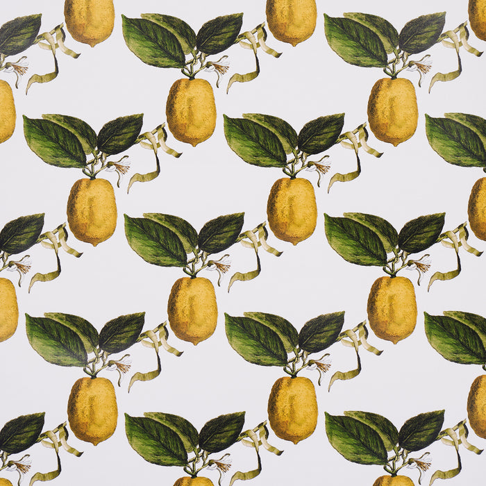 Schumacher Le Citron Ivory Wallpaper 5014280