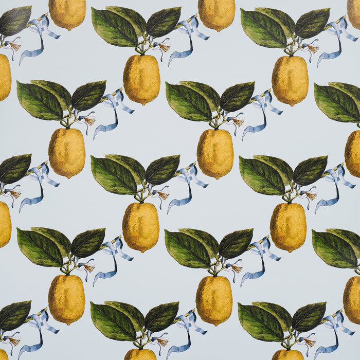 Schumacher Le Citron Sky Wallpaper 5014281