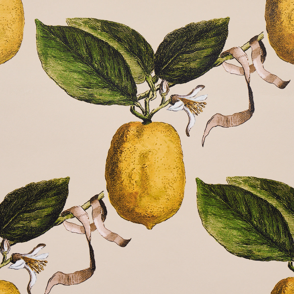 Schumacher Le Citron Natural Wallpaper 5014282