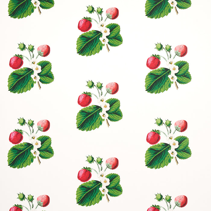 Schumacher Strawberry Hill White Wallpaper 5014320