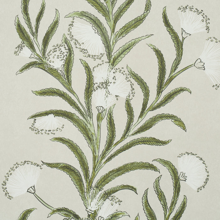 Schumacher Tasmanian Mimosa Ivory & Green Wallpaper 5015362