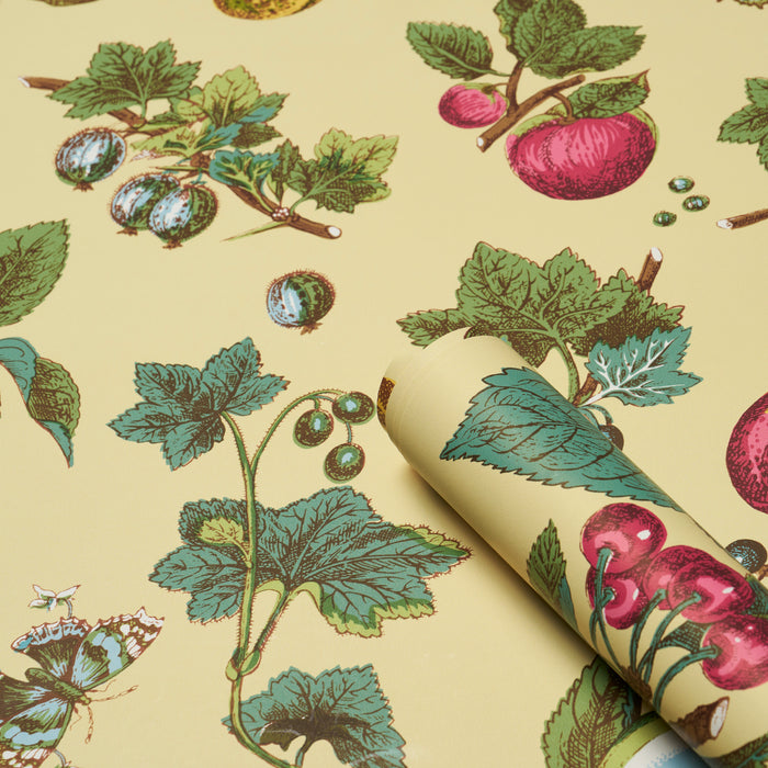 Schumacher Berry Grove Butter Wallpaper 5015650