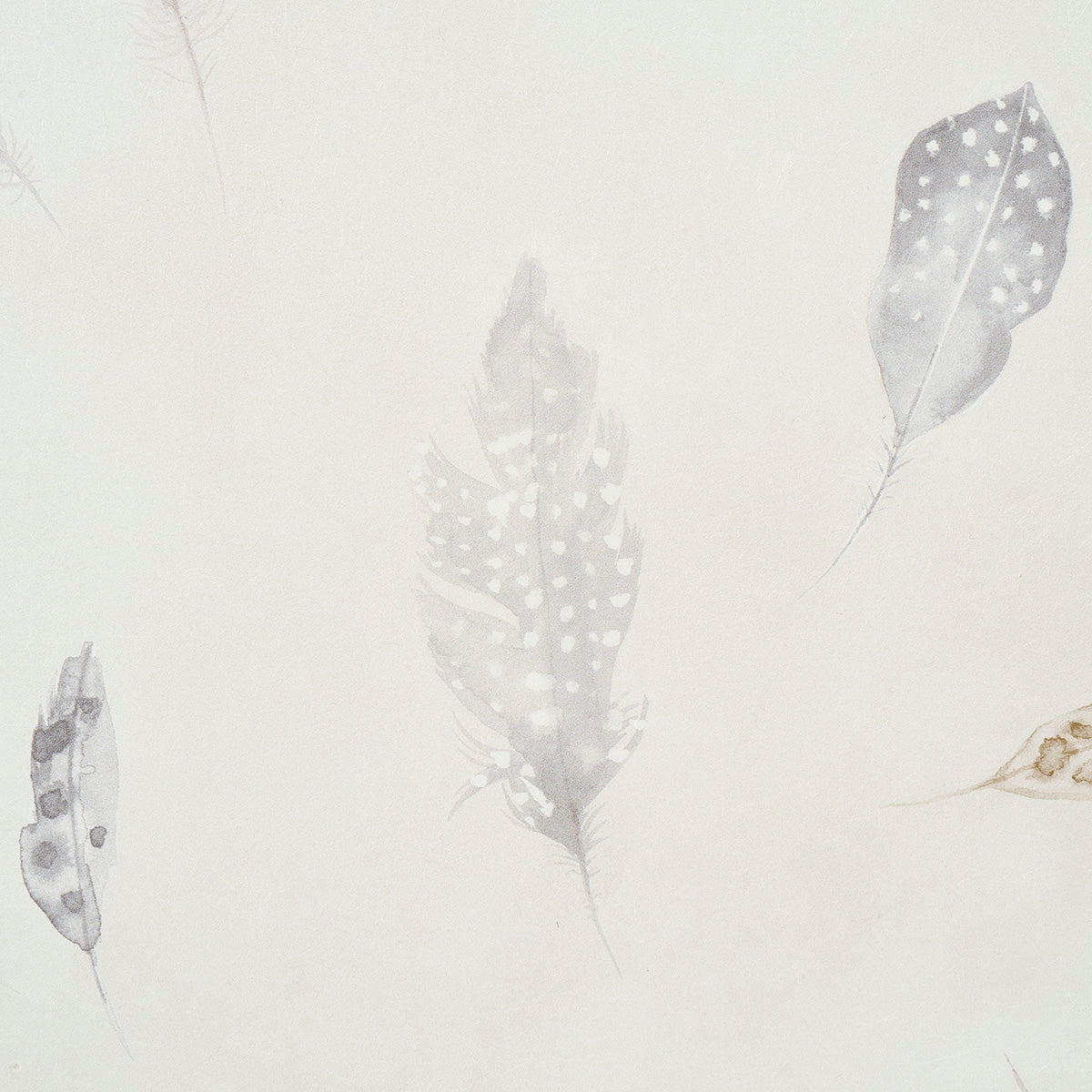 Schumacher Woodland Feathers Pebble Wallpaper Sample 5016060