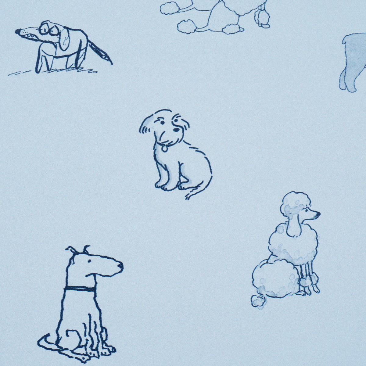 Schumacher Good Dogs Everywhere Sky & Navy Blue Wallpaper 5016132