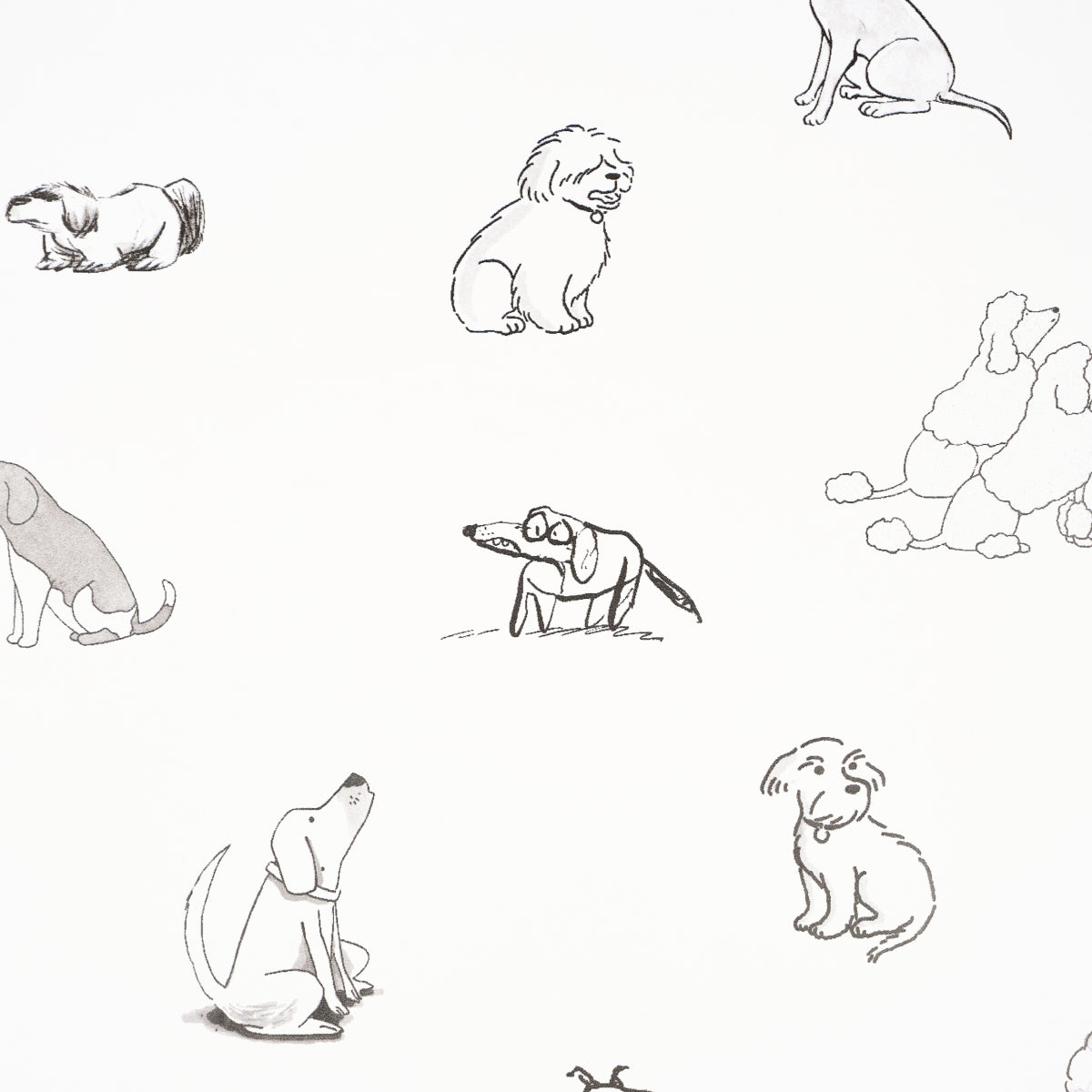 Schumacher Good Dogs Everywhere Black & White Wallpaper 5016300