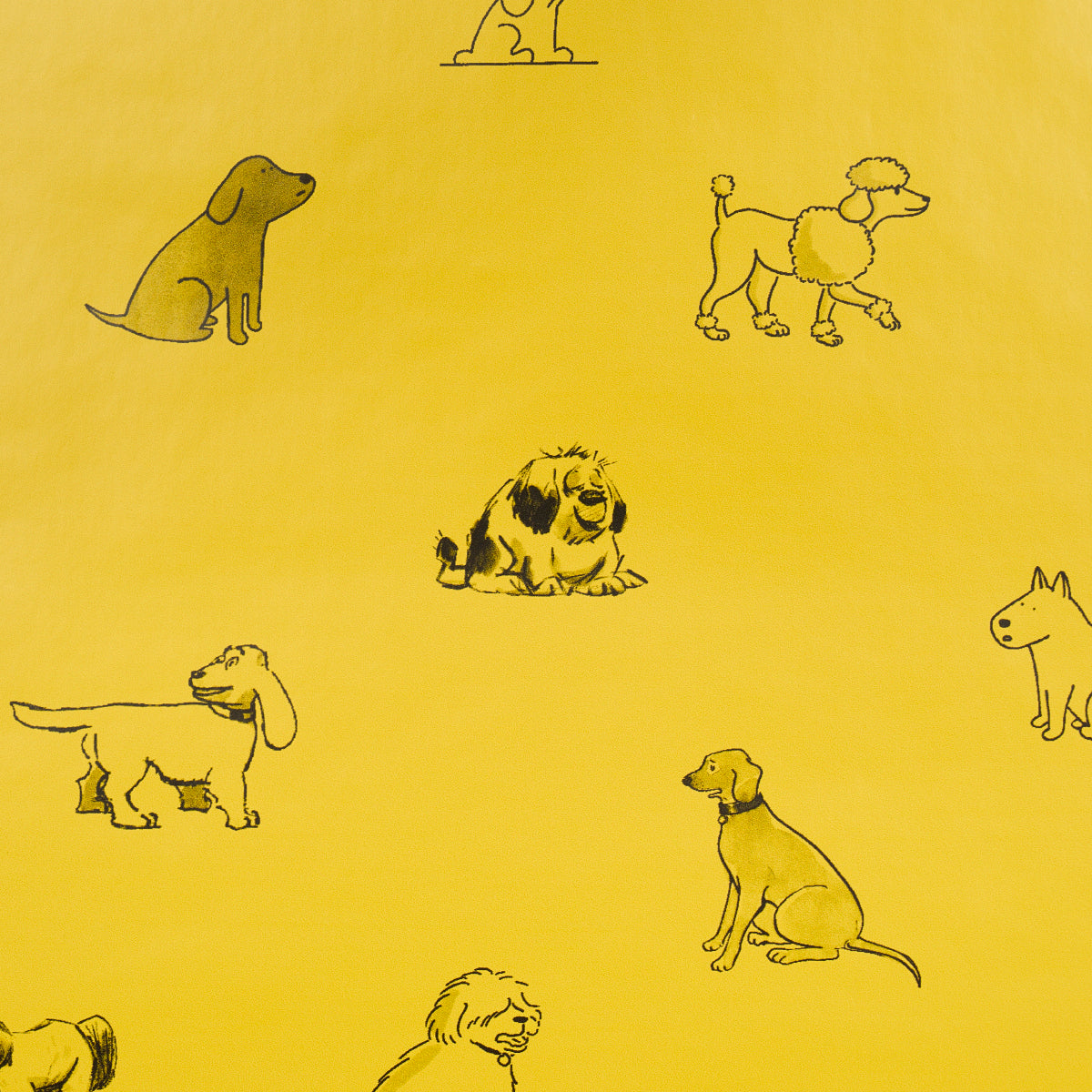 Schumacher Good Dogs Everywhere Taxi-Cab Yellow Wallpaper Sample 5016301