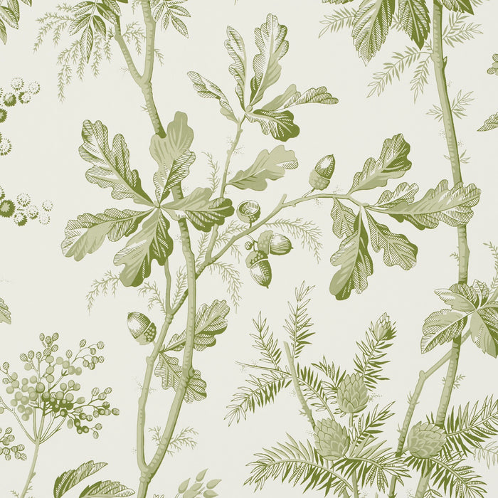 Schumacher Brantwood Vine Leaf Wallpaper 5016350