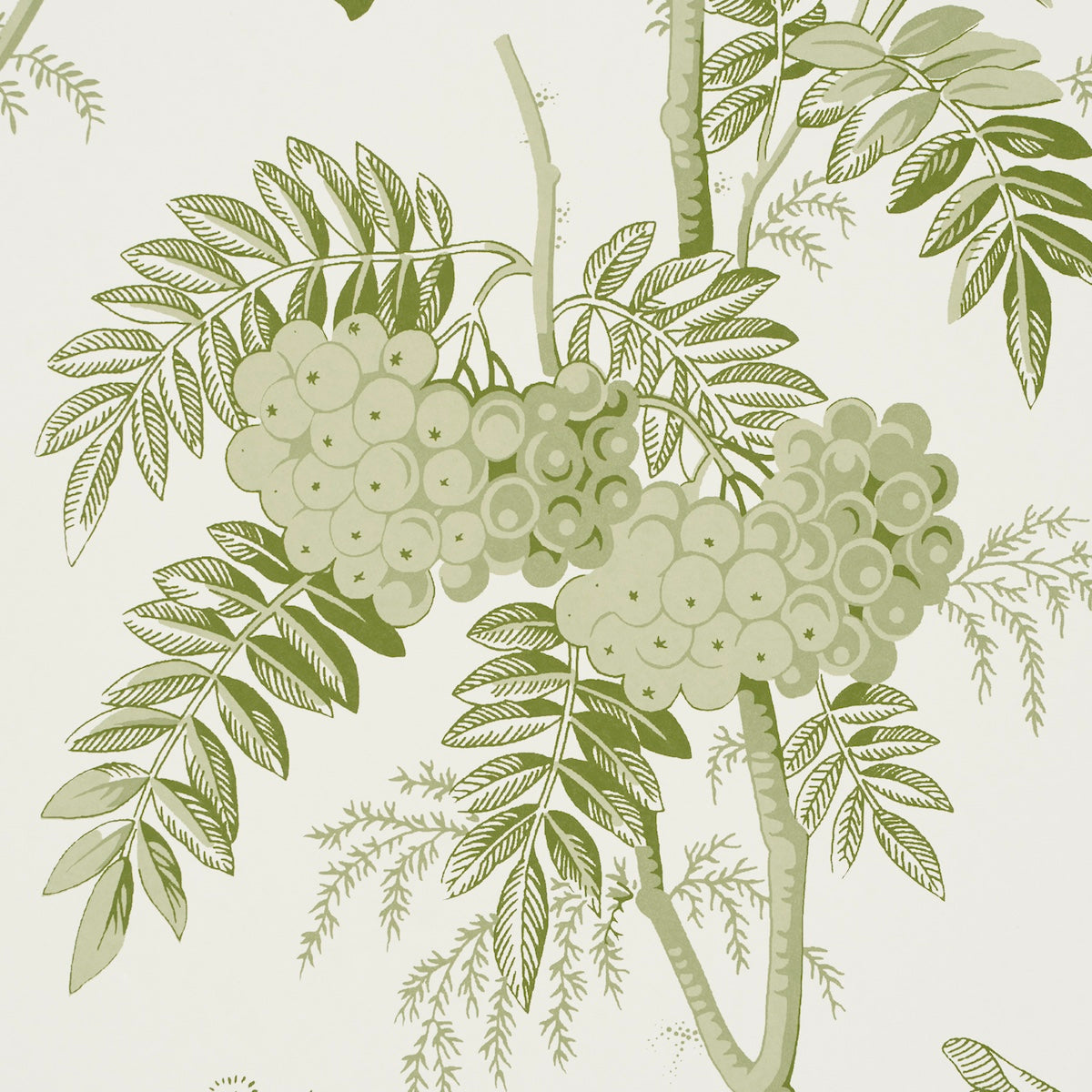 Schumacher Brantwood Vine Leaf Wallpaper 5016350