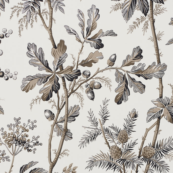 Schumacher Brantwood Vine Graphite Wallpaper 5016352