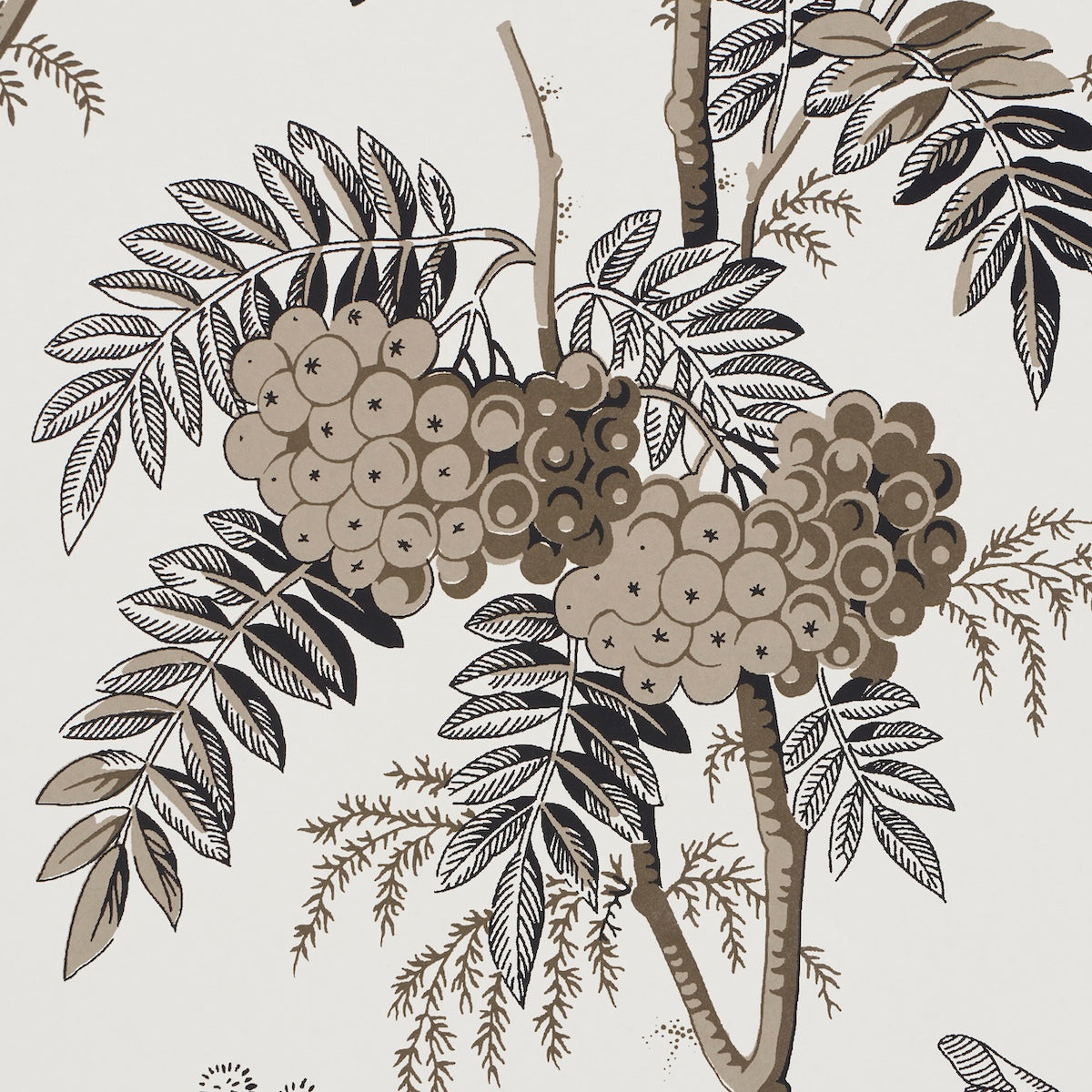 Schumacher Brantwood Vine Graphite Wallpaper 5016352