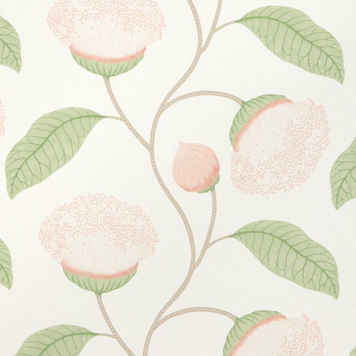 Schumacher Celinda Blush Wallpaper 5016360