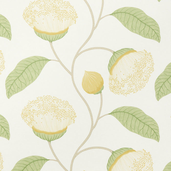 Schumacher Celinda Citrus Wallpaper 5016362