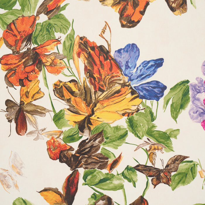 Schumacher Pyne Butterfly Monarch Orange Wallpaper 5016380