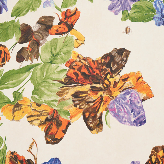 Schumacher Pyne Butterfly Monarch Orange Wallpaper 5016380