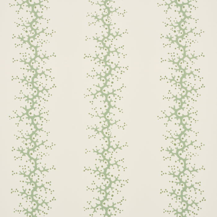 Schumacher Coral Stripe Green Wallpaper 5016452