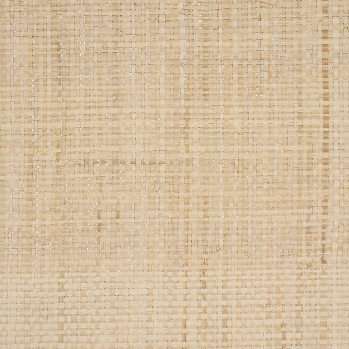 Schumacher Blonde Raffia Wheat Wallpaper 5016510