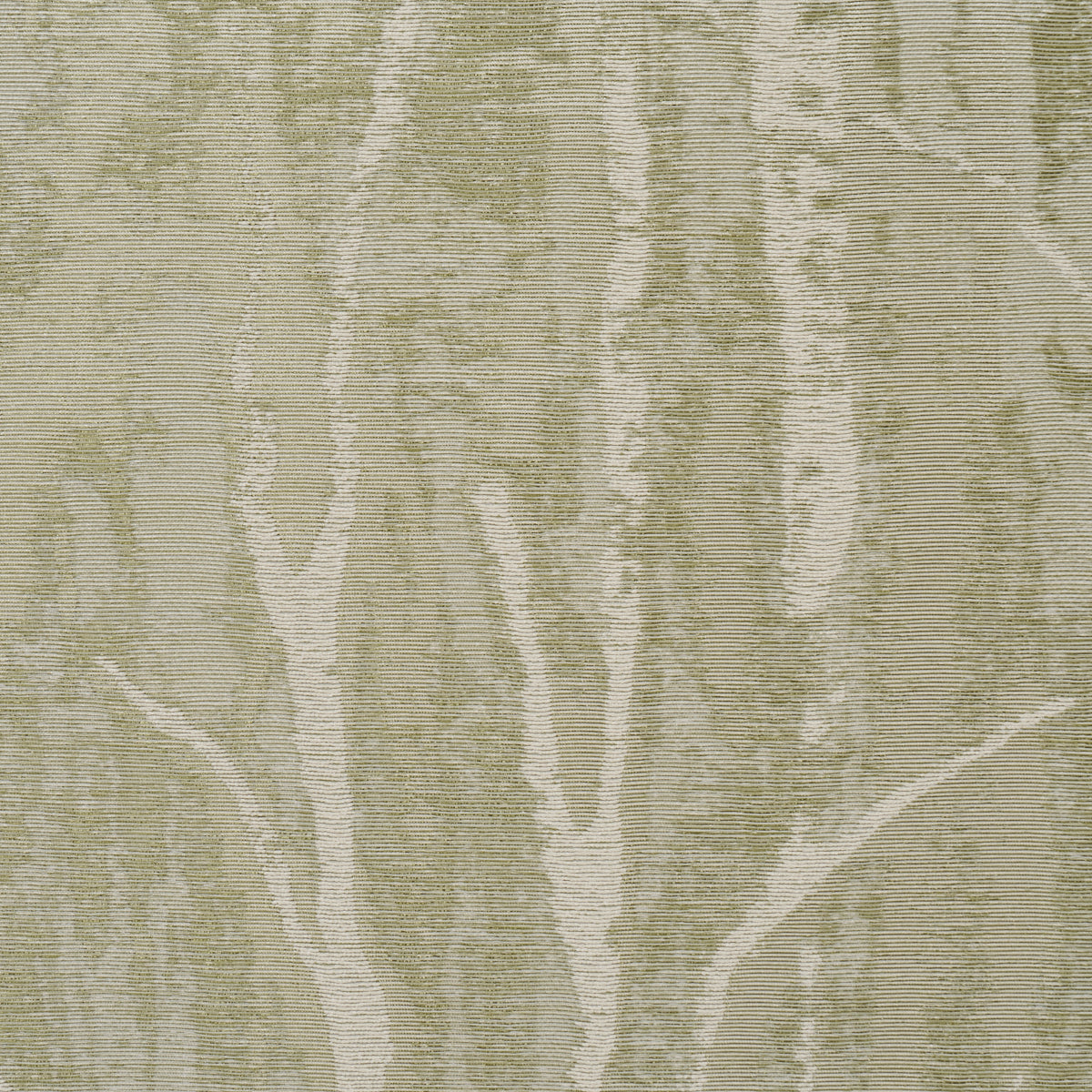 Schumacher Komorebi Illuminated Forest Wallpaper Sample 5016591