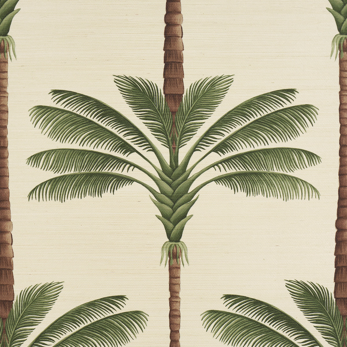 Schumacher A Palm Is A Palm Sisal Daylight Evergreen Wallpaper 5016961