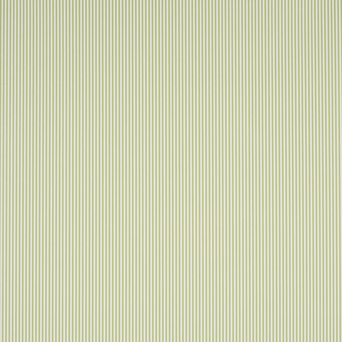 Schumacher Emma Stripe Narrow Leaf Wallpaper 5017193