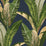 JF Fabrics 5352 68 Wallpaper Sample 7835668