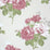 Nina Campbell Rosa Alba 2 Sample Sample NCW4033-02