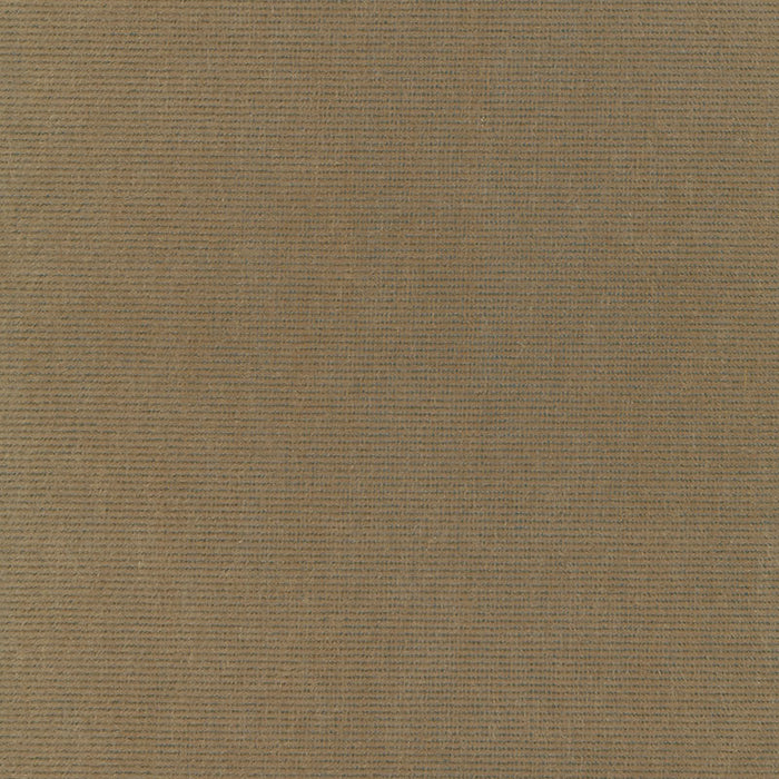 Schumacher Chiaroscuro Velvet Mink Fabric Sample 54885