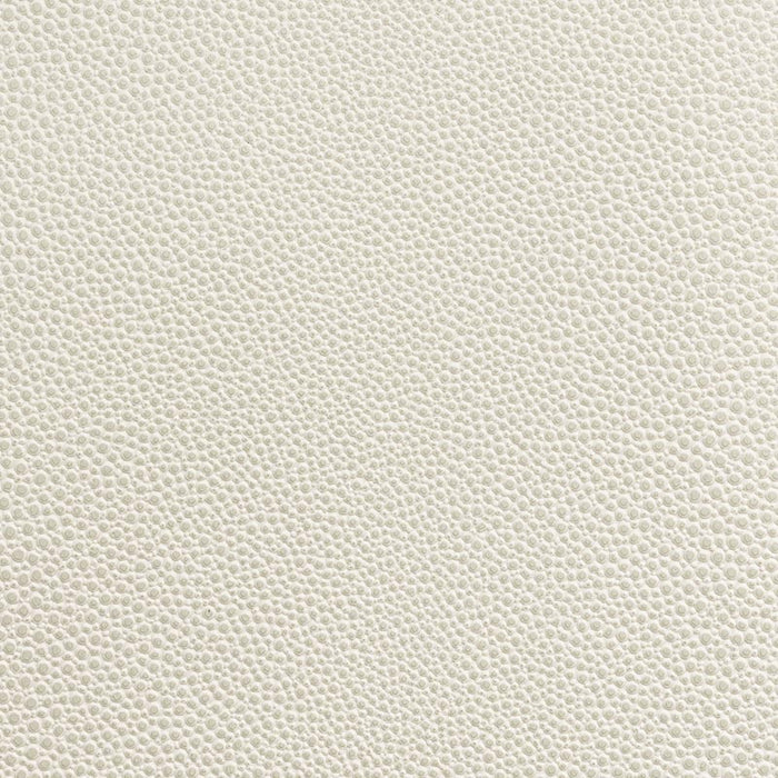 Holly Hunt Great Plains Shagreen Bone Fabric Sample 551/01