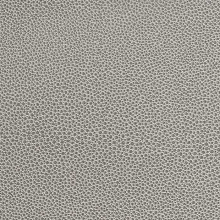 Holly Hunt Great Plains Shagreen Iced Fabric Sample 551/04