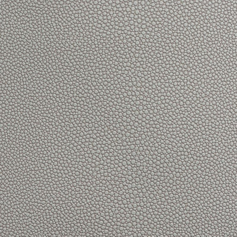 Holly Hunt Great Plains Shagreen Warm Silver Fabric 551/05