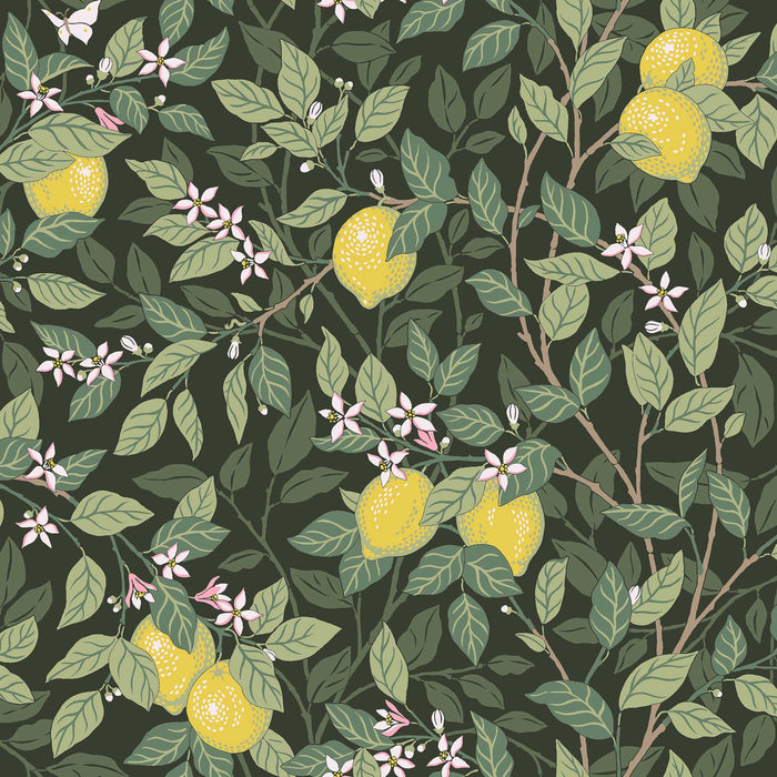 Schumacher Citrontrad Green Wallpaper 5701