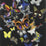 Christian Lacroix Butterfly Parade 2 Sample Sample PCL008-02