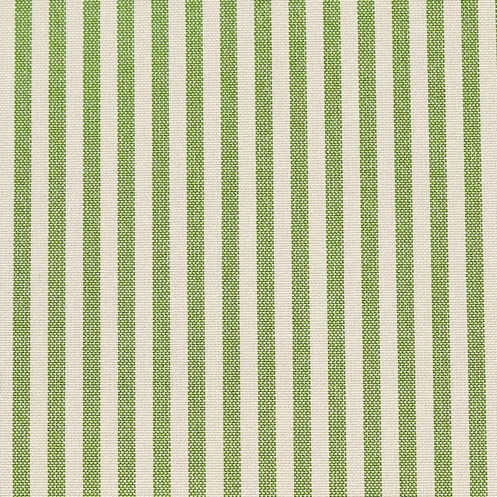 Schumacher Charee Silk Stripe Green Fabric Sample 60925