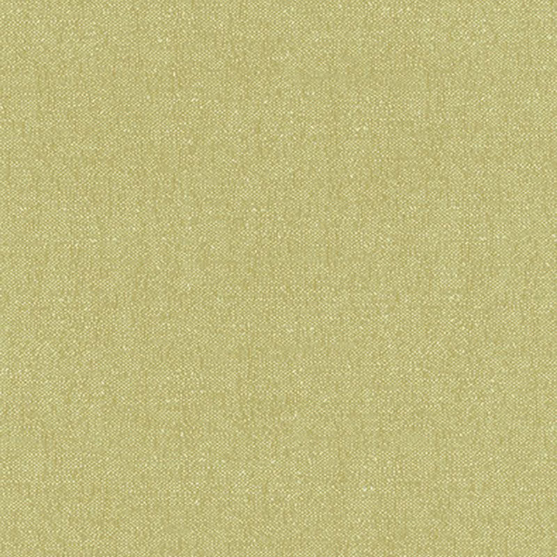 Schumacher Stone Texture Fern Fabric 62463